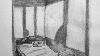 https://www.juliettebuschini.com/files/gimgs/th-68_the shadows of the room_web.jpg